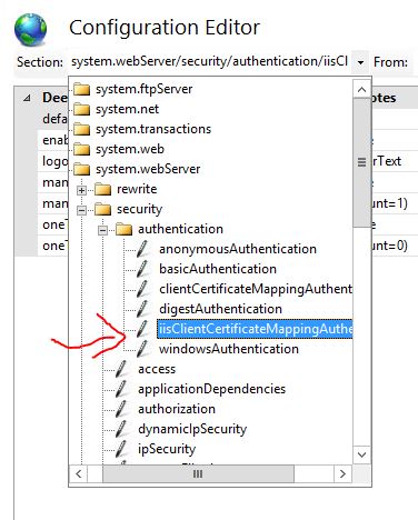 iisClientMappingAuthentication